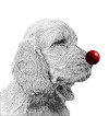 ClownDog